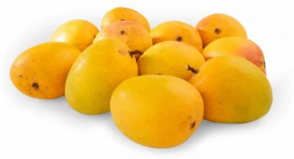 Alphonso