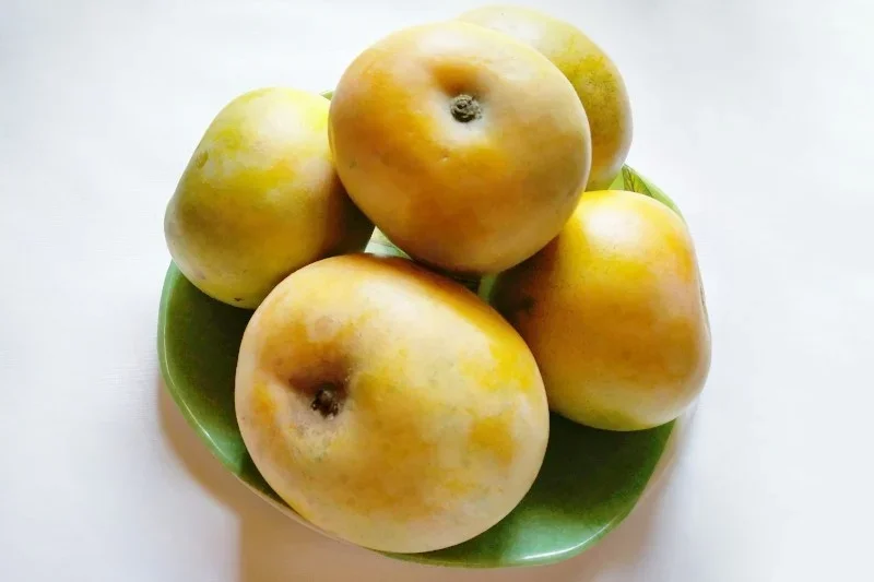 Rumani Mango