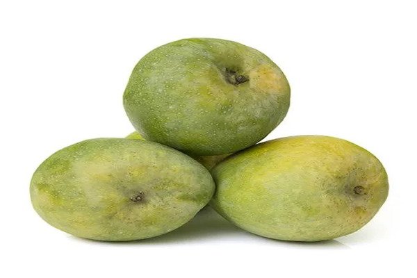 Salem Malgoa