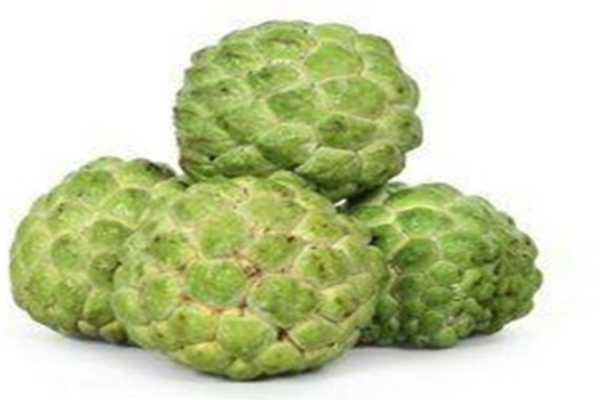 Custard Apple